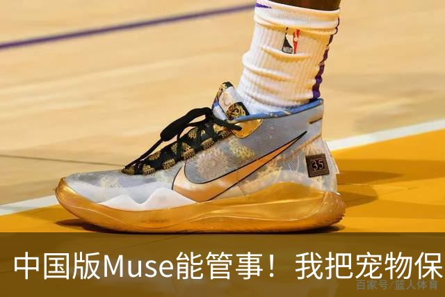 中国版Muse能管事！我把宠物保单、双11算价和周末旅行全交给了灵光2.0