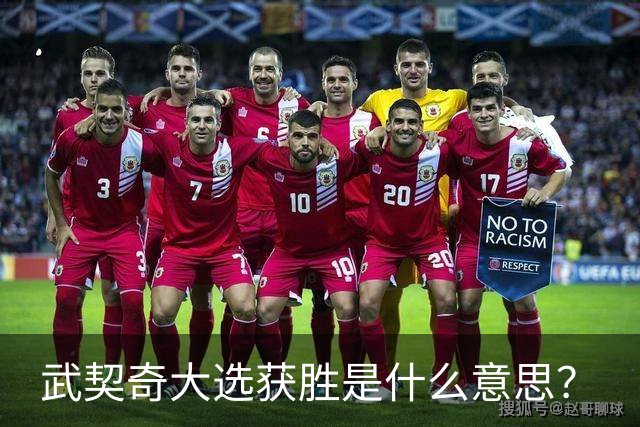 武契奇大选获胜是什么意思？