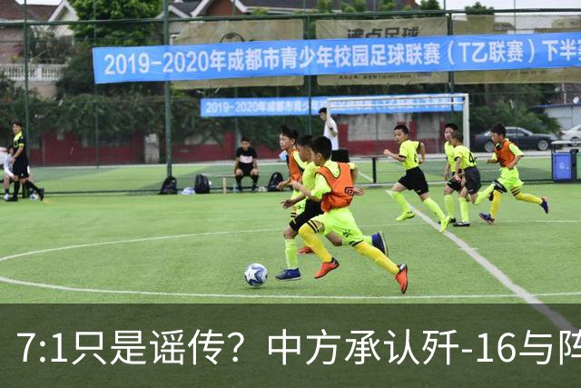 7:1只是谣传？中方承认歼-16与阵风存在差距，演习赢得并不轻松